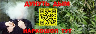 Альфа ПВП Сланцы