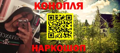 a pvp Славгород