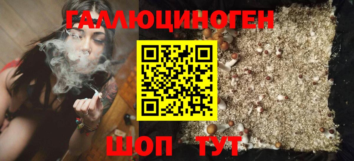 Орск  Галлюциногенные грибы Psilocybe  Вход с VPN 